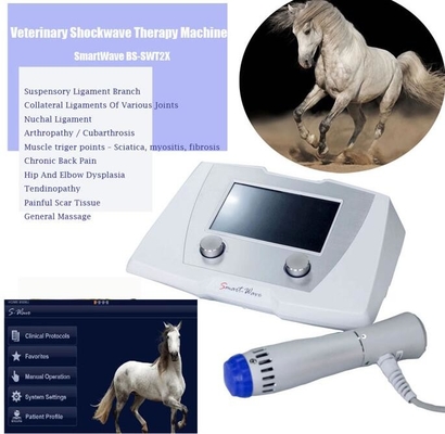 Veterinario Radial Pulse Wave ESWT Equine Dispositivo di terapia ad onde d'urto per cavallo