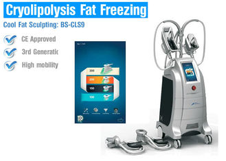 Cryo che congela il corpo di Cryolipolysis che dimagrisce macchina, attrezzatura di perdita di peso