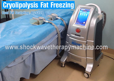 Cryo che congela il corpo di Cryolipolysis che dimagrisce macchina, attrezzatura di perdita di peso