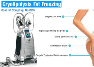 Macchine grasse di perdita di Cryolipolysis di sicurezza, macchina di contorno di congelamento grassa del corpo