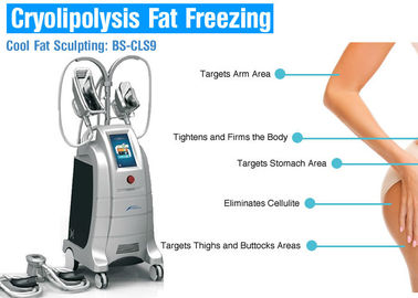 Corpo di Cryolipolysis di perdita di peso che dimagrisce macchina, liposuzione chirurgica non dell'attrezzatura bruciante grassa
