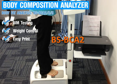 Analizzatore di composizione corporea nel touch screen per grasso corporeo/analisi di nutrizione con la stampante