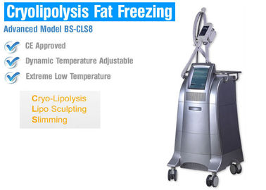 Dimagramento/che modella del corpo la macchina di congelamento grassa di Cryolipolysis con controllo della temperatura intelligente