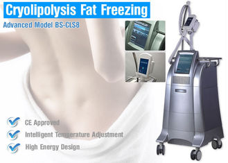 Corpo di Cryolipolysis di perdita di peso che dimagrisce macchina, liposuzione chirurgica non dell'attrezzatura bruciante grassa