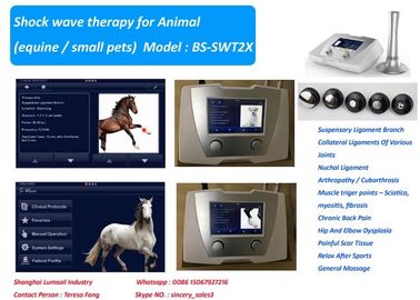Macchina veterinaria di terapia di scossa dell'alta energia di 190 MJ per il cavallo ed i piccoli animali domestici