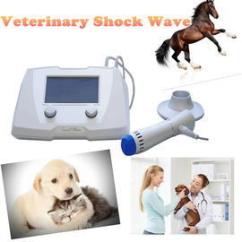 Macchina equina veterinaria di Shockwave per l'edizione degli animali/lesione morbide del tendine