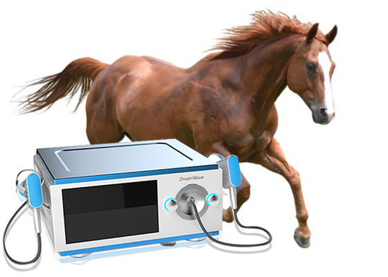 Macchina messa a fuoco di terapia di Shockwave del cavallo del trasmettitore per dolore alla schiena del cavallo