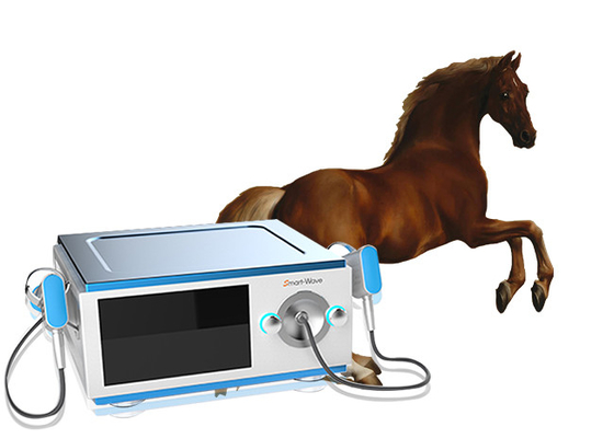 Attrezzatura equina di terapia dell'onda di urto del cavallo a basso rumore per dolore BS-SWT5000