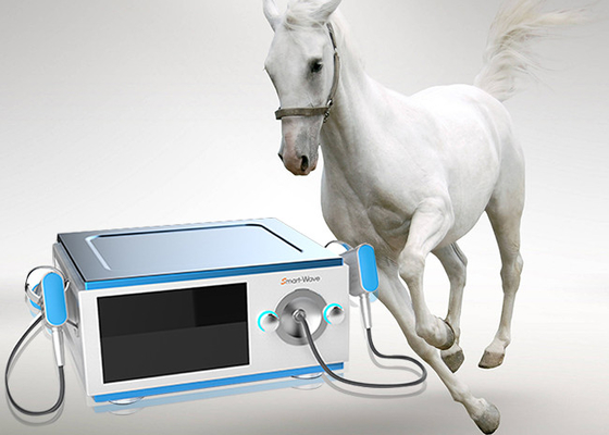 Il dolore riduce la macchina a basso rumore di Shockwave del cavallo per l'apparecchio medico dei cavalli