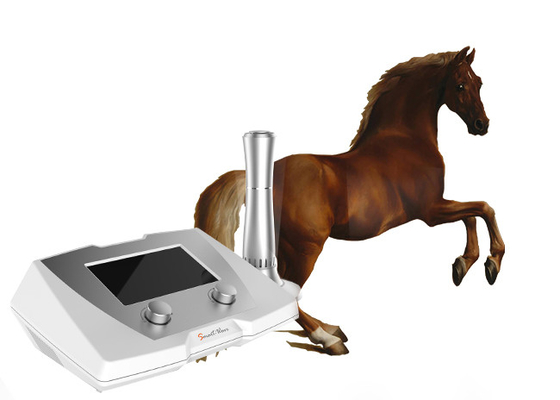 Del cavallo di Shockwave di terapia di frequenze 320 * 225 * 126mm delle macchine 1 - 22 hertz veterinario