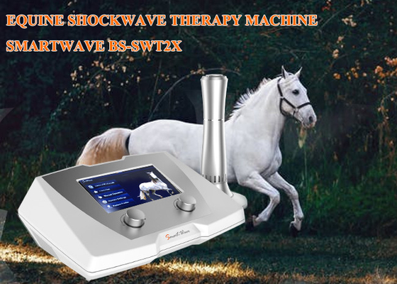 Lesione astuta del tendine della macchina di terapia di Wave acustico dell'attrezzatura di terapia di Shockwave