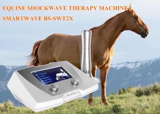 Macchina equina medica 10mj - 190mj energie 320 * 225 * 126mm di Shockwave