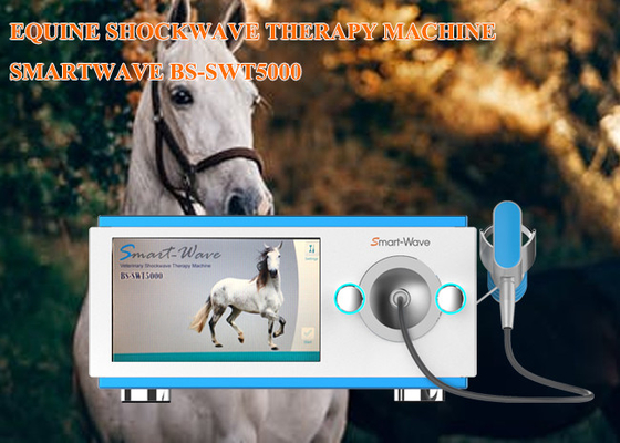 Dispositivo extracorporeo di terapia di Shockwave dei cavalli di ESWT