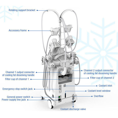 Ente di macchina grasso di congelamento di Cryolipolysis di 5 maniglie che scolpisce macchina per riduzione grassa