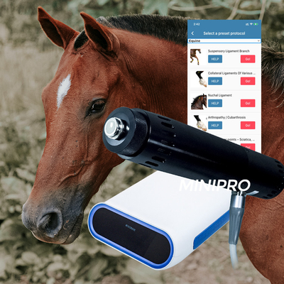 Macchina equina di Shockwave del cavallo veterinario portatile per le lesioni sospensive