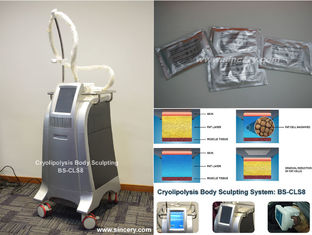 Ente non chirurgico di Cryolipolysis della liposuzione che dimagrisce macchina, macchina di perdita di peso di vuoto