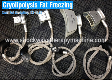 Attrezzatura di perdita di peso di Cryolipolysis di 4 maniglie che dimagrisce macchina per riduzione grassa veloce