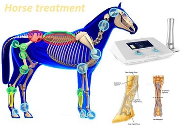 Macchina regolabile di alta pressione 1-22Hz Shockwave per il trattamento del cavallo