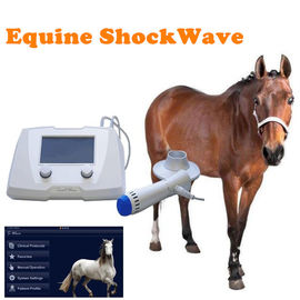 Macchina extracorporea equina ad alta intensità di terapia dell'onda di urto per il cavallo