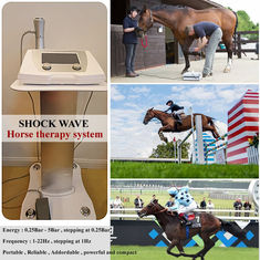 Macchina veterinaria di terapia dell'onda di urto dell'alta energia per il cavallo da corsa