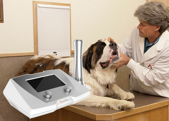 Macchina equina/canina di trattamento curativo di fratture in ritardo uso veterinario di Shockwave di terapia
