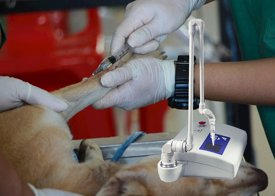 Macchina frazionaria del laser di CO2 veterinaria dello strumento medico per ospedale animale/del cane