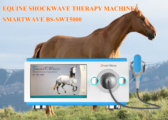 Macchina di terapia di Shockwave dei cavalli da corsa di fisioterapia