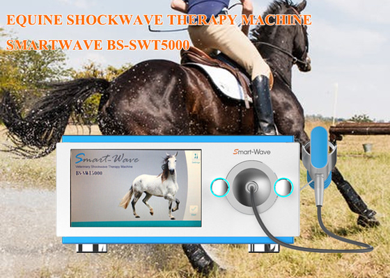 Macchina di terapia di Shockwave dei cavalli da corsa di fisioterapia