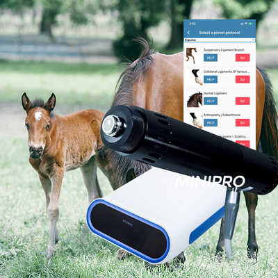 Macchina portatile di trattamento SME Shockwave del cavallo con il generatore elettromagnetico