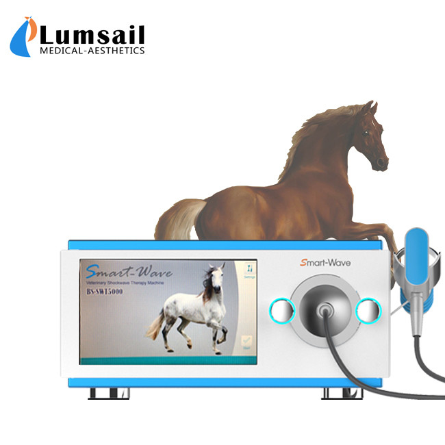 Piccola macchina equina radiale fisica animale di Shockwave per il trattamento del cavallo